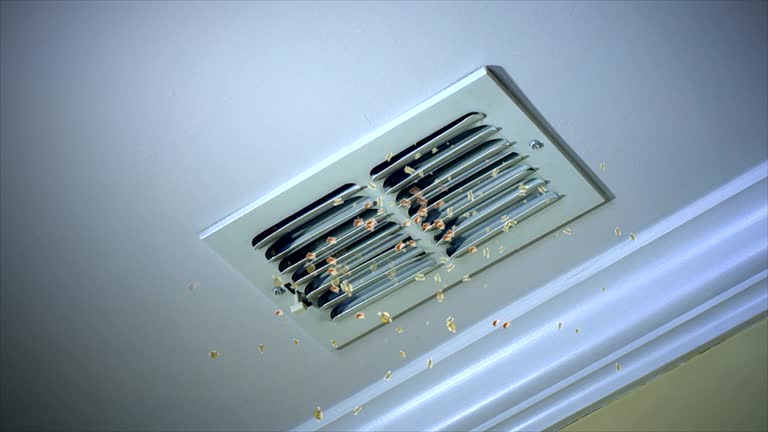 Affordable HVAC Duct Cleaning in IL