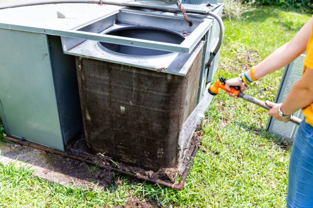 Best Local Air Duct Cleaning Services  in Hazel Crest, IL